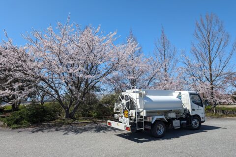 石田マリン（ガソリンスタンド）の側では桜が咲きます